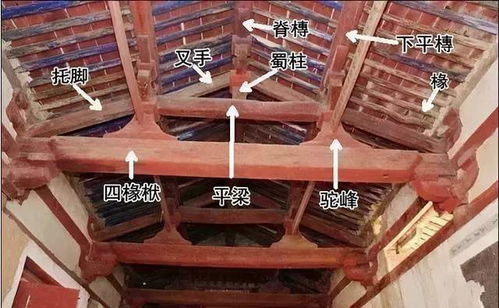 圖解建筑材料 從煙草的意外應用看傳統材料的創新潛力